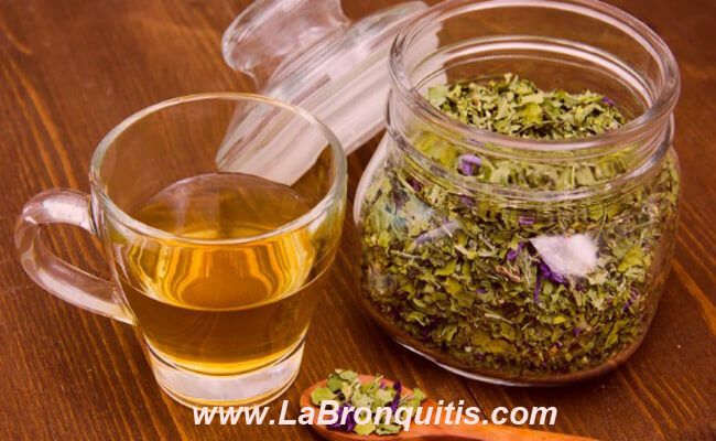 plantas medicinales para tratar la bronquitis