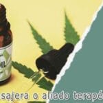 CBD: ¿Moda pasajera o aliado terapéutico real? [Todo lo que debes saber ]